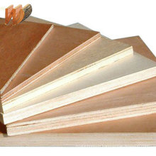 18mm poplar plywood hot press for sale